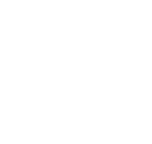 Pecks Consulting